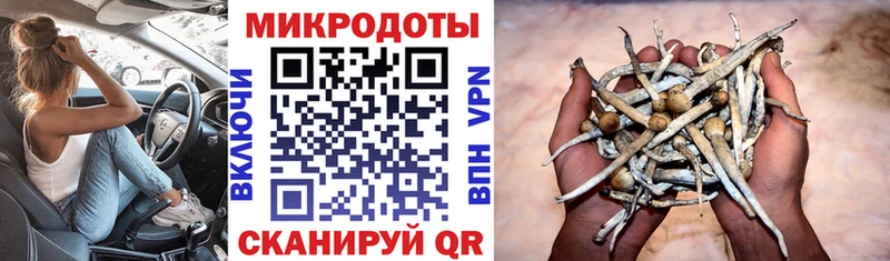 Купить закладки  Ардон  Псилоцибиновые грибы мицелий 